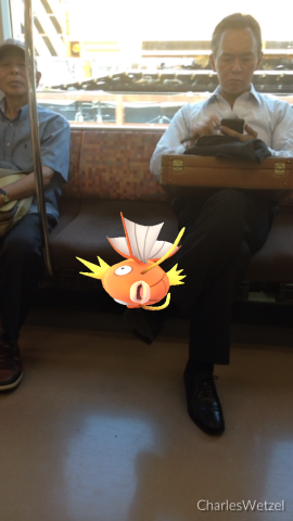 Magikarp on the Train