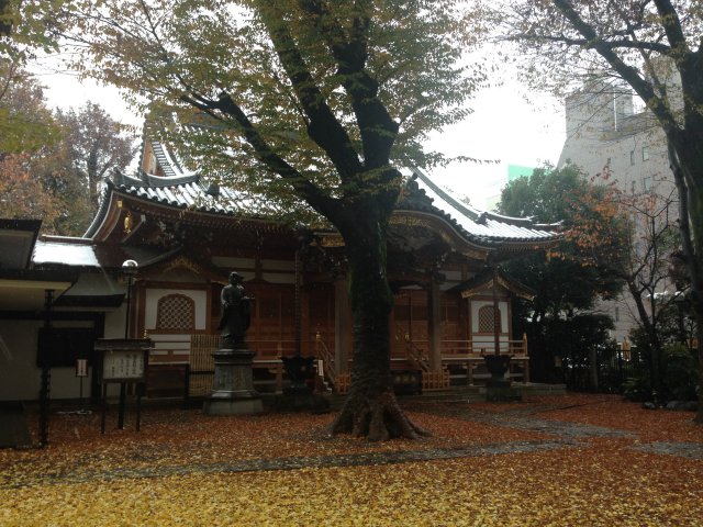 Snow in November in Tokyo Image 9