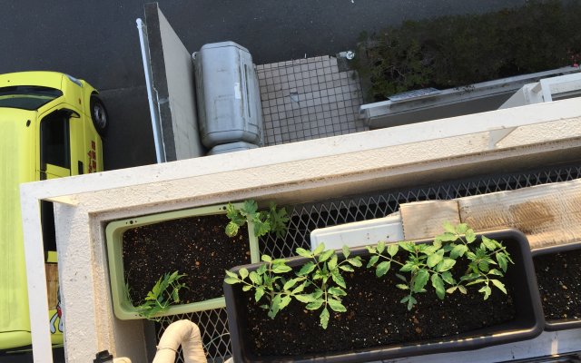 My Container Garden: Left Side